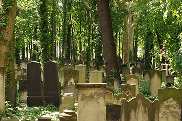 Image showing detail of a old graveyard in Berlin