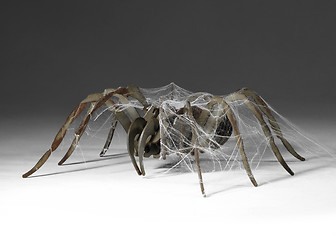 Image showing metallic spider