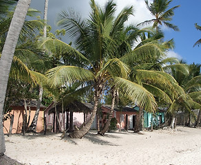 Image showing Dominican Republic beach scenery