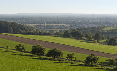 Image showing agricultural view around Emmendingen