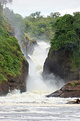 Image showing Murchison Falls in Uganda