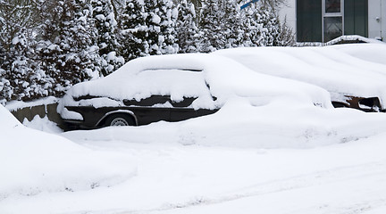 Image showing snowbound cars