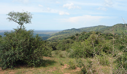 Image showing Great Rift Valley