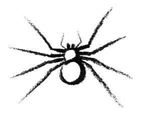 Image showing sketched spider