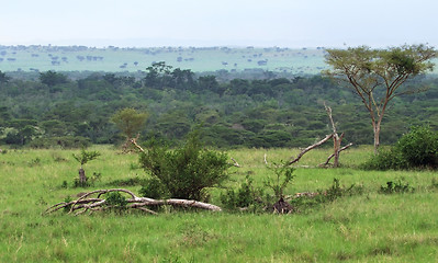 Image showing Queen Elizabeth National Park in Uganda