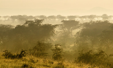 Image showing Queen Elizabeth National Park at evening time