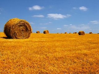 Image showing france landscape