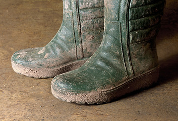 Image showing dirty gumboots