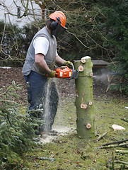 Image showing lumberman at work