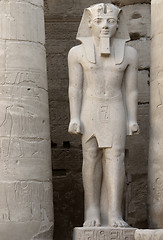 Image showing pharaonic sculpture at Luxor Temple in Egypt