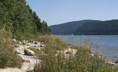 Image showing Schluchsee at summer time