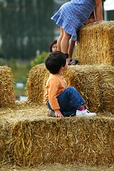 Image showing Pumpkin Patch