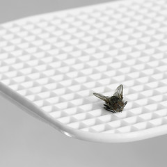 Image showing fly flap detail