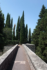 Image showing around Castle of Brolio