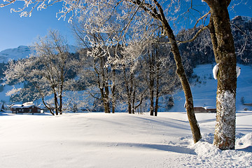 Image showing Winter Morning