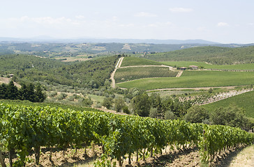 Image showing Chianti in Tuscany