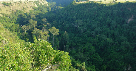 Image showing detail of the Chambura Gorge