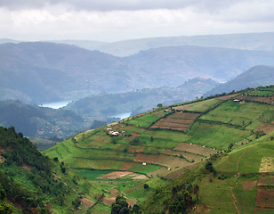 Image showing Virunga Mountains aerial view
