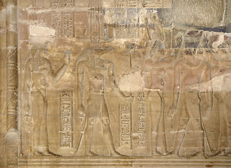 Image showing relief at the Temple of Kom Ombo