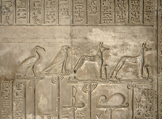 Image showing relief at the Temple of Kom Ombo
