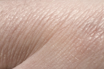 Image showing human skin detail
