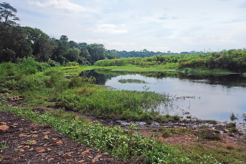 Image showing near Rwenzori Mountains in Africa