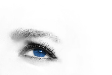 Image showing Blue Eye