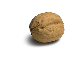 Image showing walnut