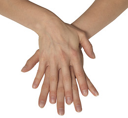 Image showing two feminine hands