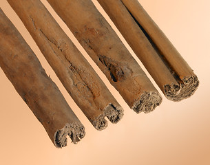 Image showing cinnamon sticks in a row