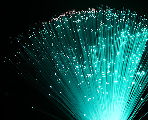 Image showing plastic optical fibers