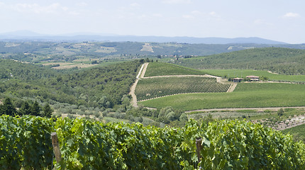 Image showing Chianti region in Tuscany