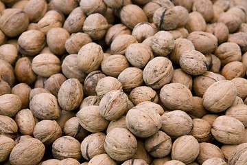 Image showing full frame walnut background