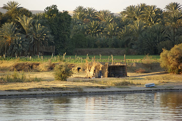 Image showing River Nile scenery between Aswan and Luxor