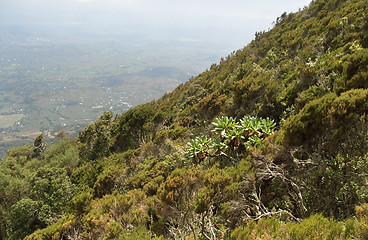 Image showing around Mount Muhavura in Africa
