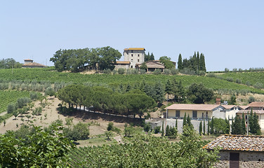 Image showing Chianti in Tuscany