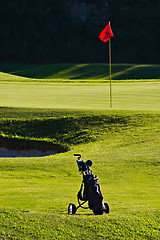 Image showing Golf bag