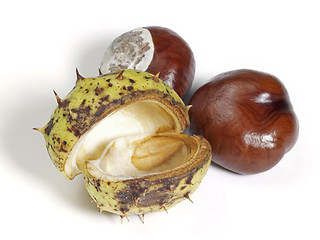 Image showing horse chestnuts