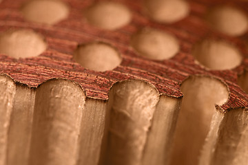 Image showing porous wood detail