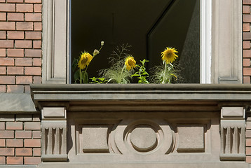 Image showing sunflowers and open window