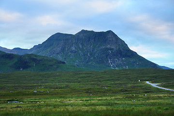 Image showing Rannoch Moor at summer time