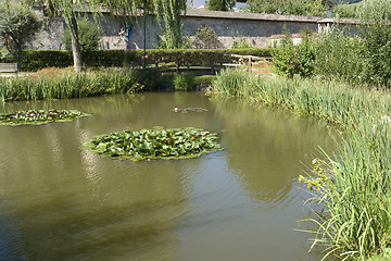 Image showing pond of Saint Peter in the Black Forest