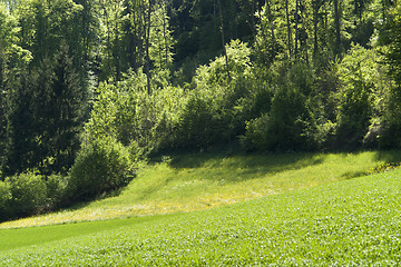 Image showing idyllic spring scenery in Hohenlohe