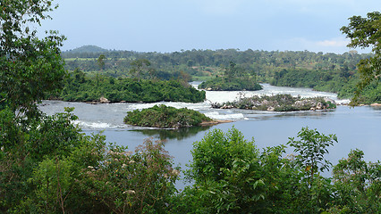 Image showing River Nile scenery near Jinja in Uganda