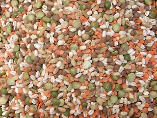 Image showing multi colored legumes