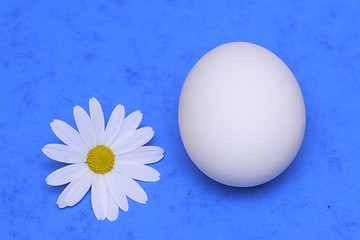 Image showing Egg and a flower