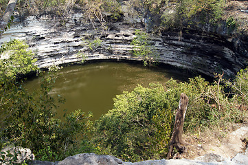 Image showing Senote in Chichen Itza