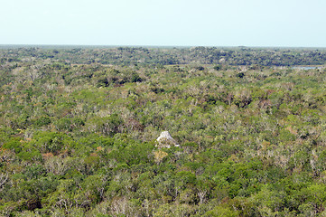 Image showing Forest and piramid in Coba