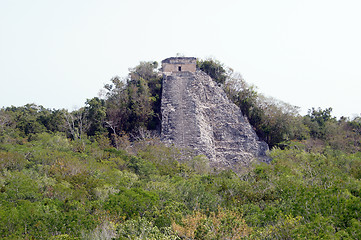 Image showing Forest and piramid