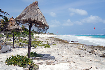 Image showing On the sea shore